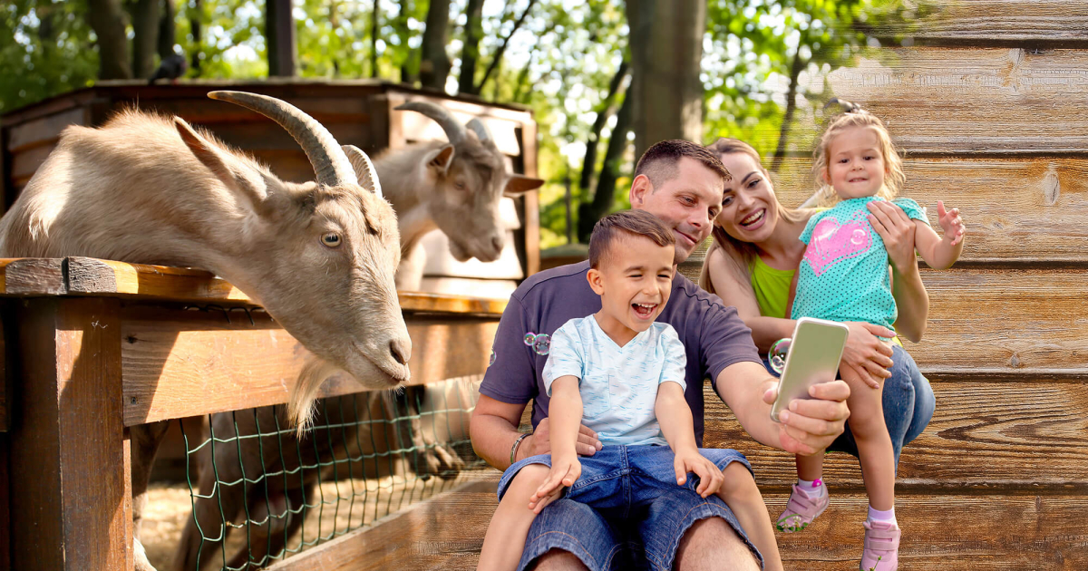 Farm Park Ticketing Solutions